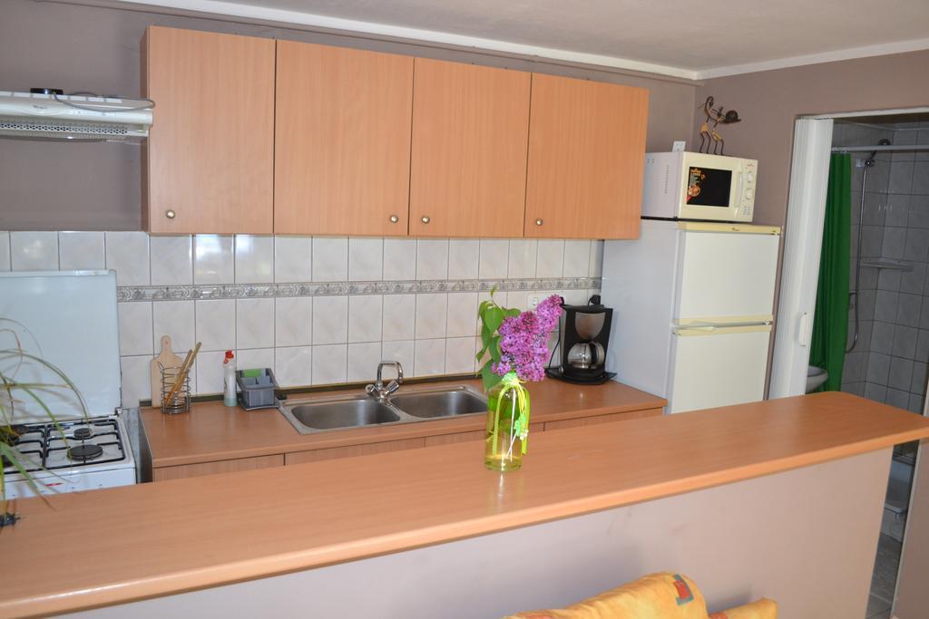 Tulipán Eger